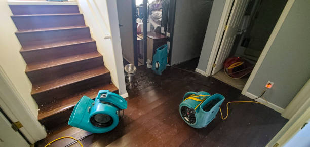 Best Carpet water damage restoration  in Hope Valley, RI